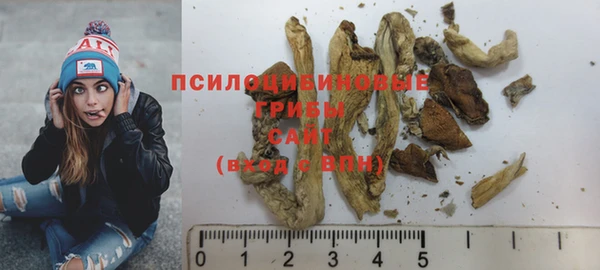 PSILOCYBIN Арсеньев
