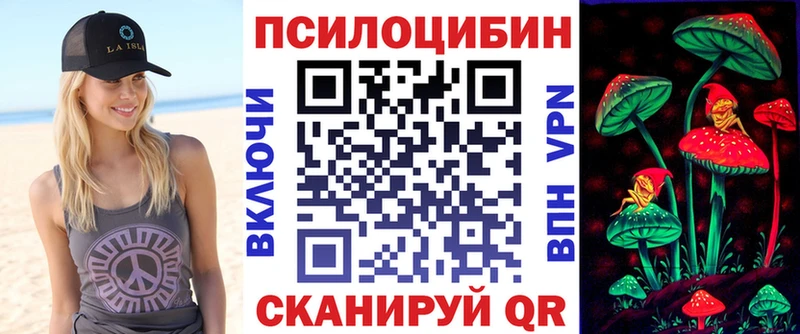 как найти   Агрыз  Псилоцибиновые грибы Psilocybine cubensis 